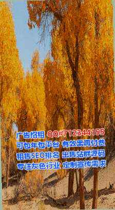 曲江代怀医药科技工作室